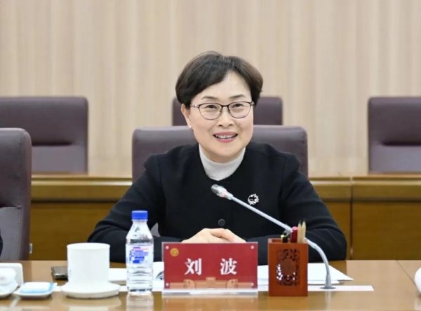 博寶配資 中央批準(zhǔn)：劉波任副部級(jí)新職務(wù)